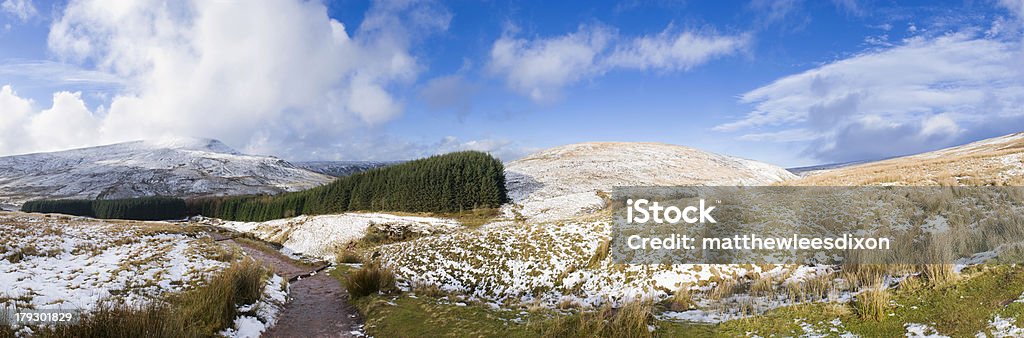 Blick auf die Berge - Lizenzfrei Adlerfarn Stock-Foto