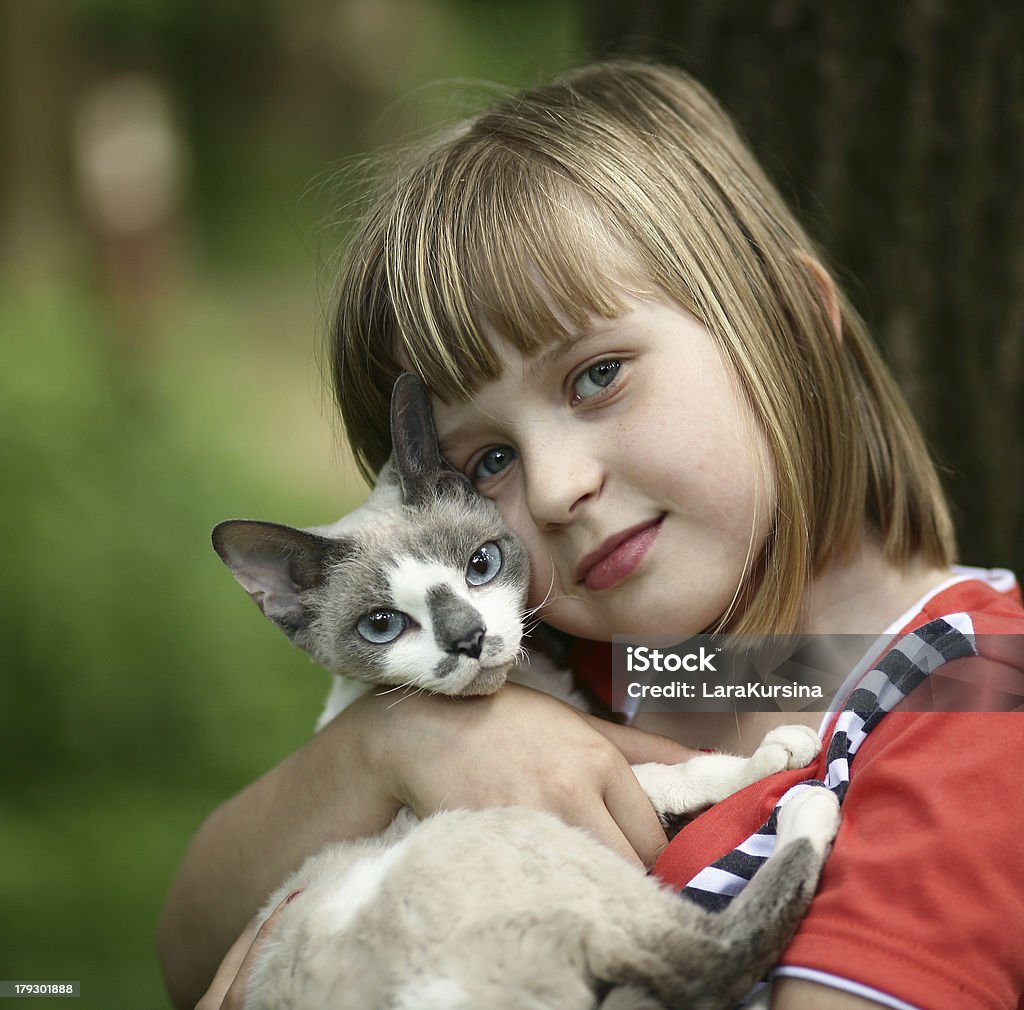 Portrait of the childl with a cat. Child and a cat. Animal Stock Photo