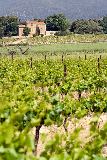 domaine viticole en-provence - france holiday villa built structure vertical imagens e fotografias de stock