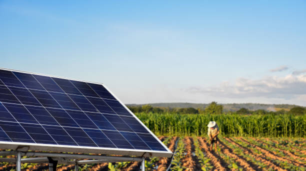 istock Solarcell panels or photovoltaic panels 1793032869