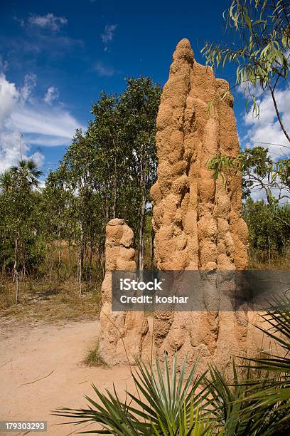 Giant Termitiera - zdjęcia stockowe i więcej obrazów Australia - Australia, Australijski Outback, Bez ludzi