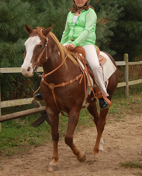 istock Flaxen Mane Sorrel Paint Horse 179303466
