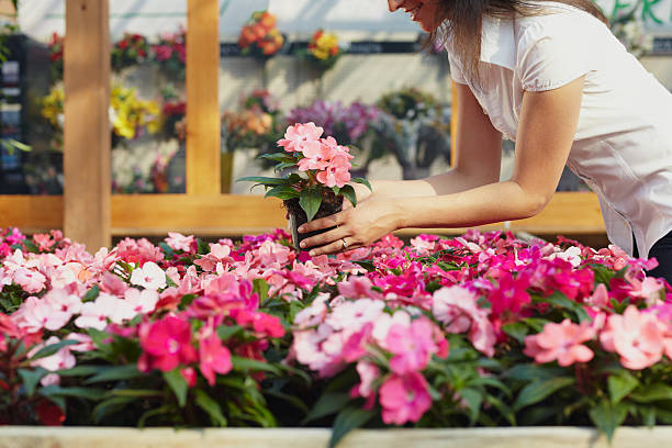 donna shopping in centro per il giardinaggio - centro per il giardinaggio foto e immagini stock