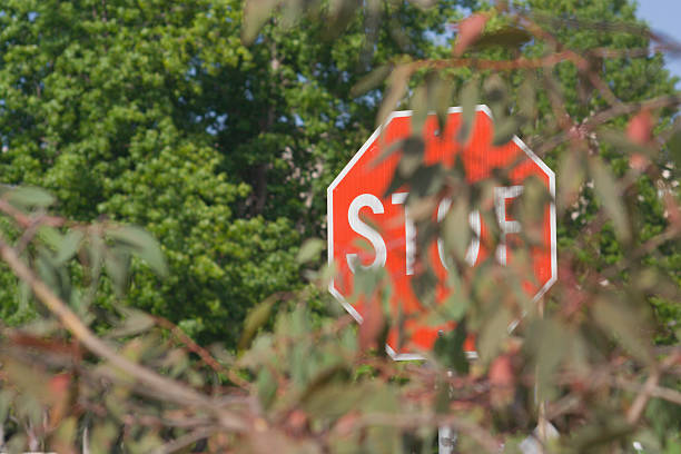 Stop sign stock photo