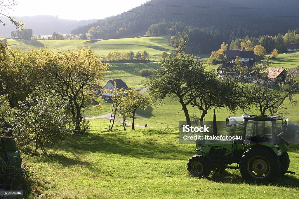 Black Blick auf den Wald mit Traktor - Lizenzfrei Traktor Stock-Foto