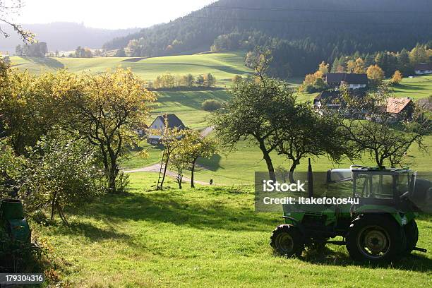 Black Blick Auf Den Wald Mit Traktor Stockfoto und mehr Bilder von Traktor - Traktor, Landschaft, Landschaftspanorama