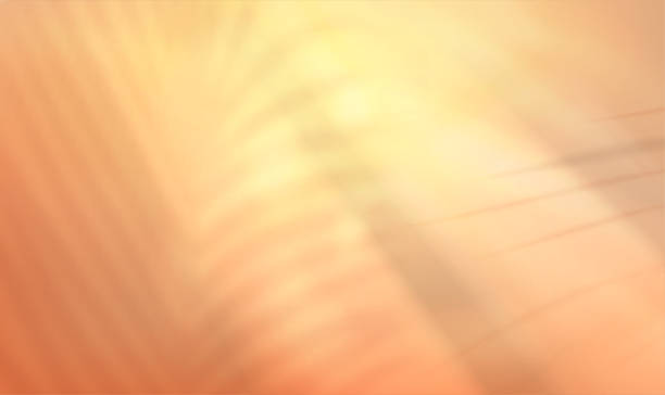 istock Podium scene and tropical palm leaves shadow overlay on beige background 1793050636