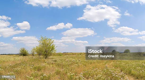 Estepe Lanscape - Fotografias de stock e mais imagens de Ao Ar Livre - Ao Ar Livre, Azul, Branco