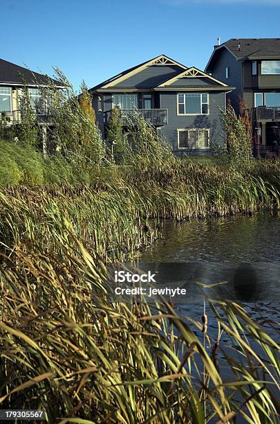 Sviluppo Ecologico - Fotografie stock e altre immagini di Accudire - Accudire, Acqua, Albero