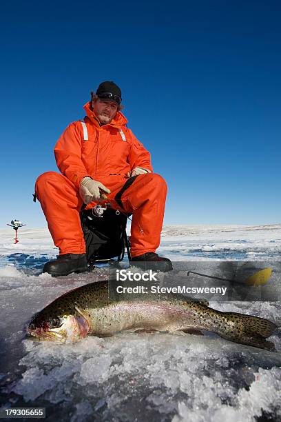 Pesca Del Día Foto de stock y más banco de imágenes de Pesca sobre hielo - Pesca sobre hielo, Pez, Trucha