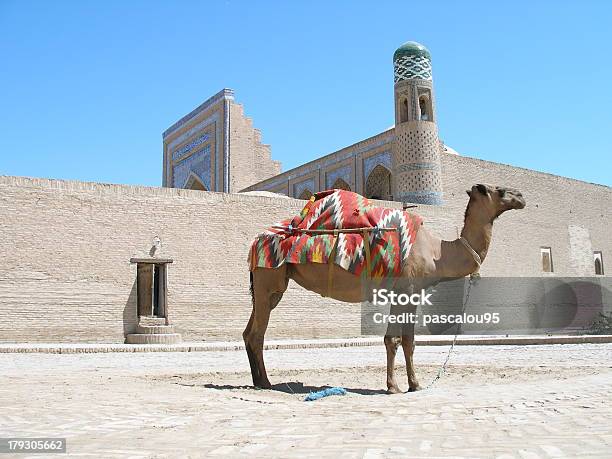 Верблюд В Хива — стоковые фотографии и другие картинки Азия - Азия, Без людей, Великий шёлковый путь