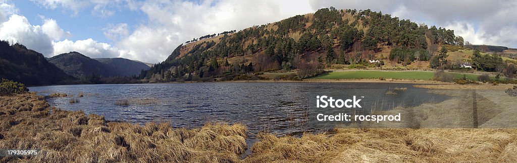 Vista de la parte superior del lago, Glendalough. Irlanda - Foto de stock de Carlow libre de derechos