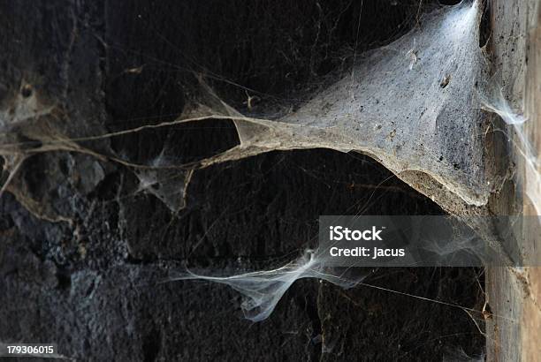Spiderwebsecke Stockfoto und mehr Bilder von Alt - Alt, Blau, Braun