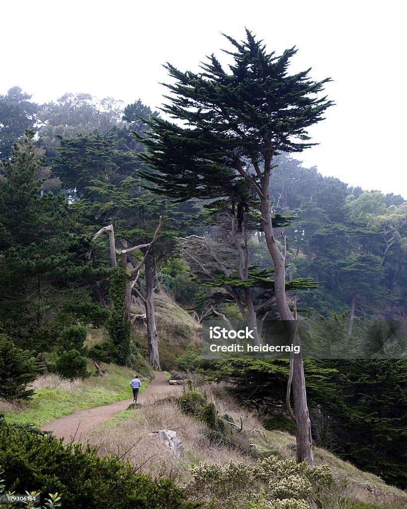 lone runner nella nebbia - Foto stock royalty-free di Area Ricreativa Nazionale Golden Gate