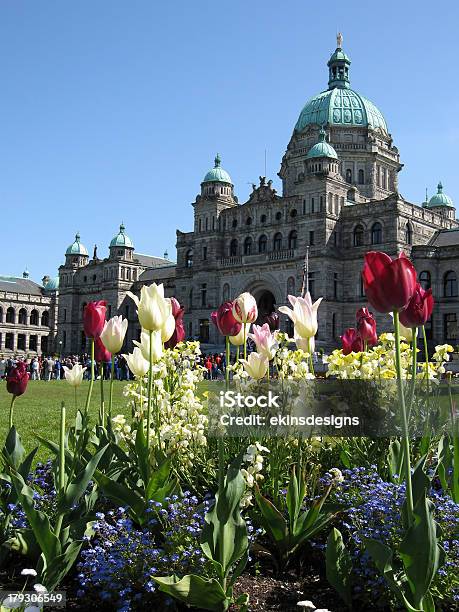 Der Hauptstadt Victoria British Columbia Stockfoto und mehr Bilder von Victoria - Kanada - Victoria - Kanada, Aufnahme von unten, Bauwerk