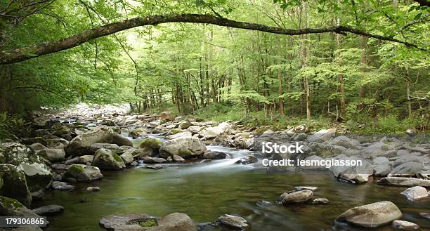 Stream In Rauchigen Bergen Stockfoto und mehr Bilder von Abgeschiedenheit - Abgeschiedenheit, Appalachen-Region, Bach