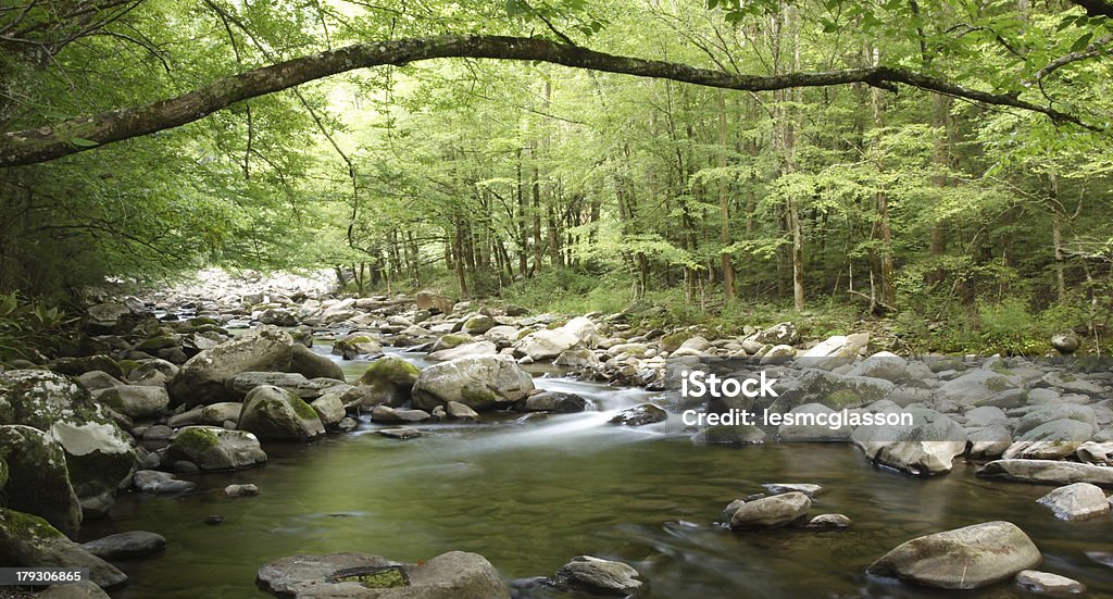 Stream nas Smoky Mountains - Foto de stock de Appalachia royalty-free