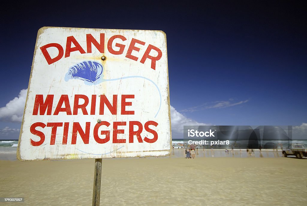 Niebezpieczeństwo Znak Stingers morskich - Zbiór zdjęć royalty-free (Znak)