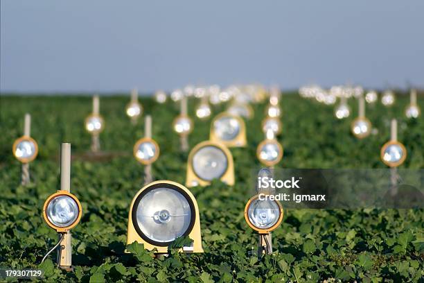 Instrument Landingsystem Stockfoto und mehr Bilder von Ausrüstung und Geräte - Ausrüstung und Geräte, Flugfeld, Flughafen