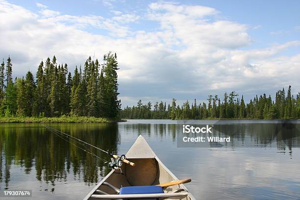 Canoe On Lake With Pine Trees Stock Photo - Download Image Now - Fishing, Minnesota, Canoeing