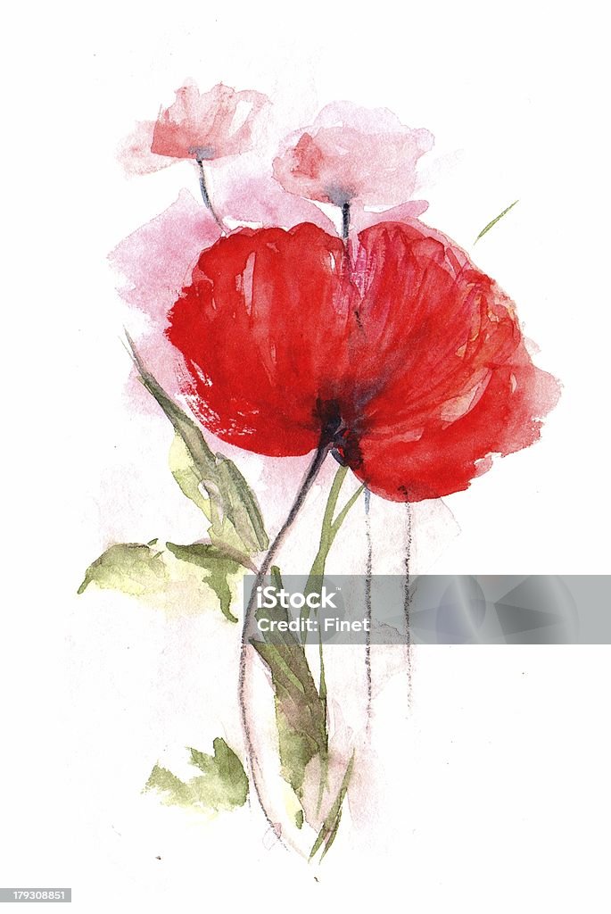 Handgemalte Mohnblüte/Mohnblume in Aquarelltechnik isoliert auf Weiß - Illustrazione stock royalty-free di Papavero della California