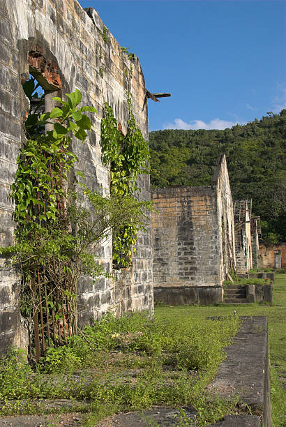 istock Research station ruins in the forrest 179309018
