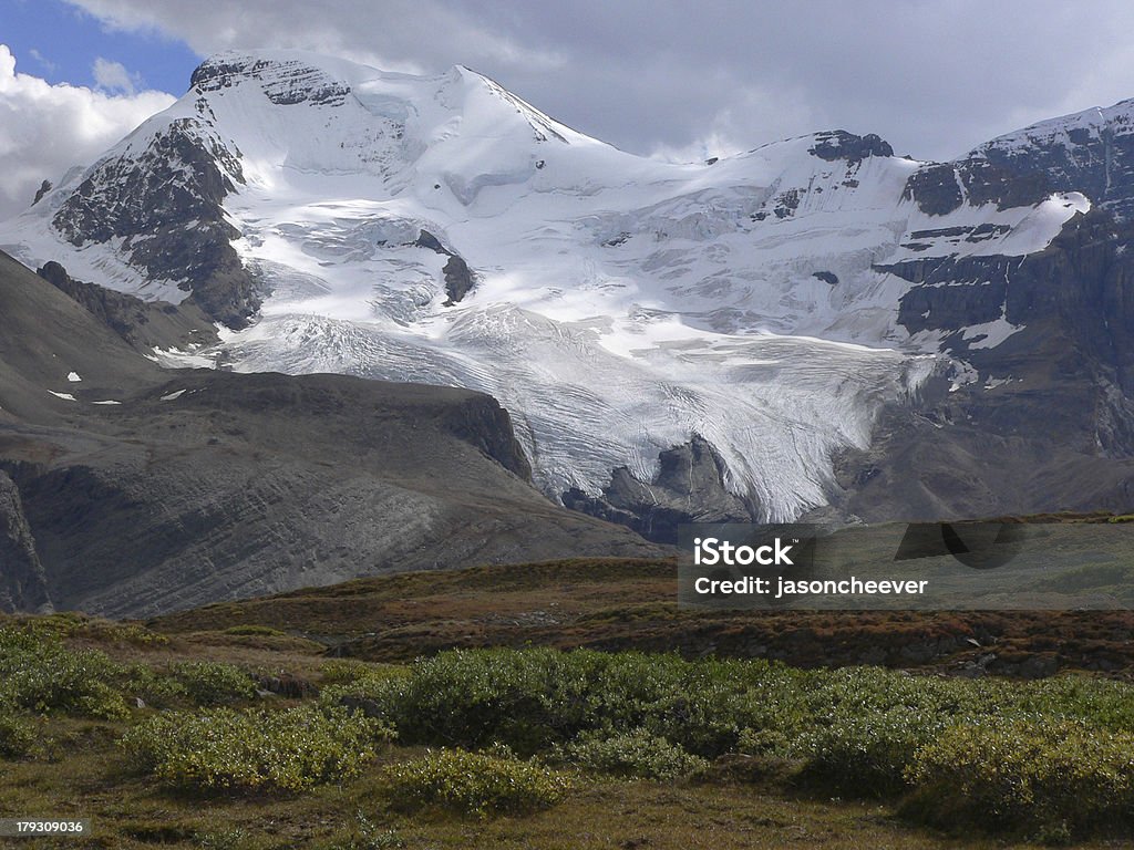 Little un ghiacciaio - Foto stock royalty-free di Alberta