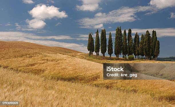 Tuscany Stock Photo - Download Image Now - Agricultural Field, Agriculture, Blue