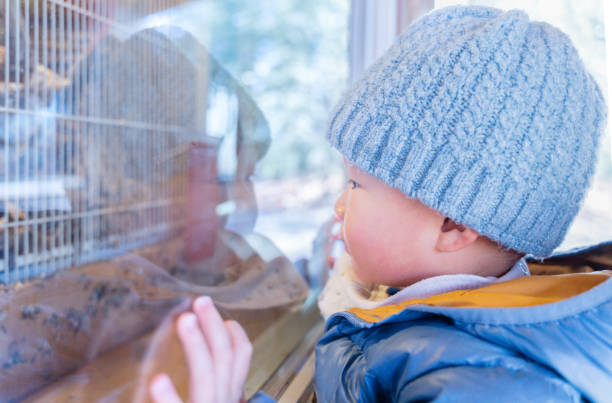 istock Window of Curiosity: Inquisitive Boy Peeks Through and Explores the World 1793090753
