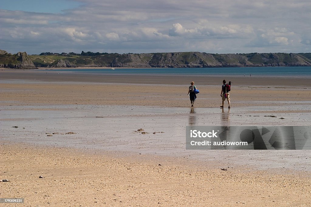 Oxwich Bay - Zbiór zdjęć royalty-free (Bez ludzi)