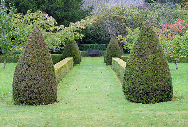 topiary garten hecken herbstlichen - boulevard mansion road grounds stock-fotos und bilder