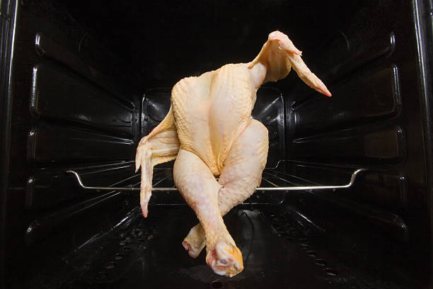 Dancing GMO chicken seated in a oven stock photo