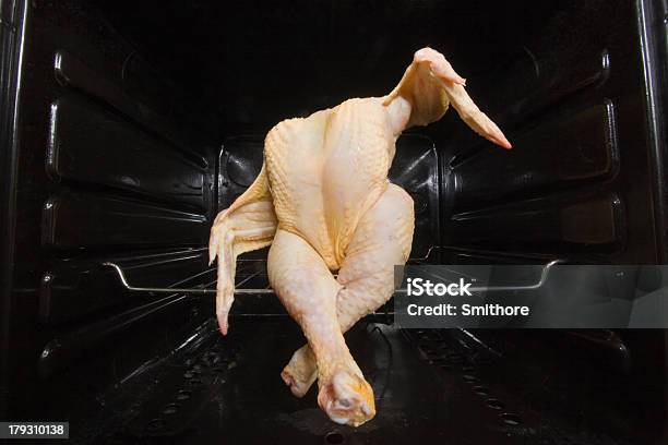 Dancing Gmo Chicken Seated In A Oven Stock Photo - Download Image Now - Chicken - Bird, Chicken Meat, Dancing