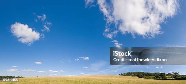 Foto de Dream Campo e mais fotos de stock de Agricultura - Agricultura, Azul, Campo