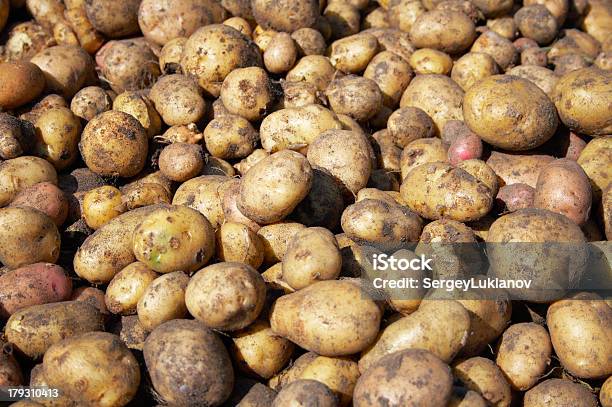 Foto de Destaque De Novo Raw Batatas e mais fotos de stock de Abstrato - Abstrato, Agricultura, Anti-higiênico