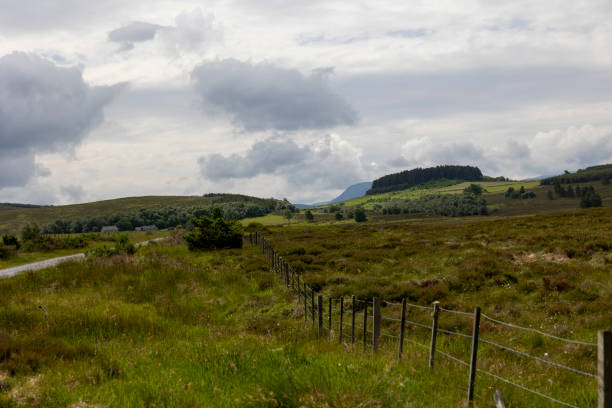 istock Empty nature in the Cairngorms in the Scottish highlands 1793105802