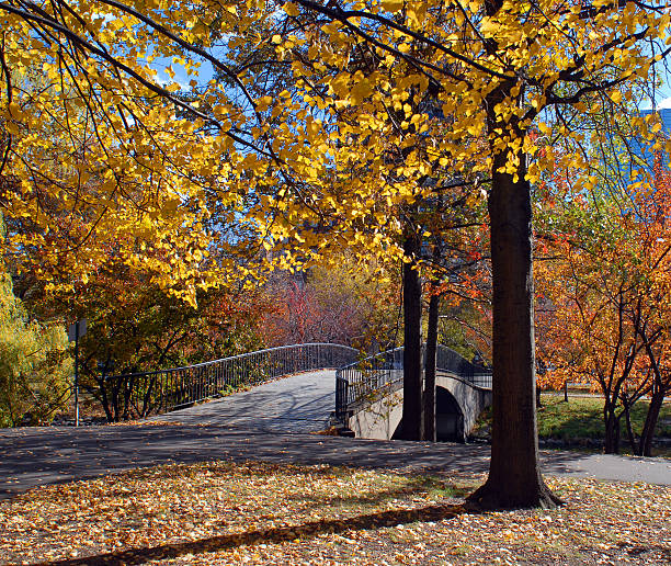 Central Park pond and  Gapstow bridge iin winter. New York. USA