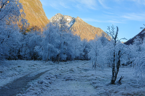 frost-frozen trees along path with mountain peak in sunlight