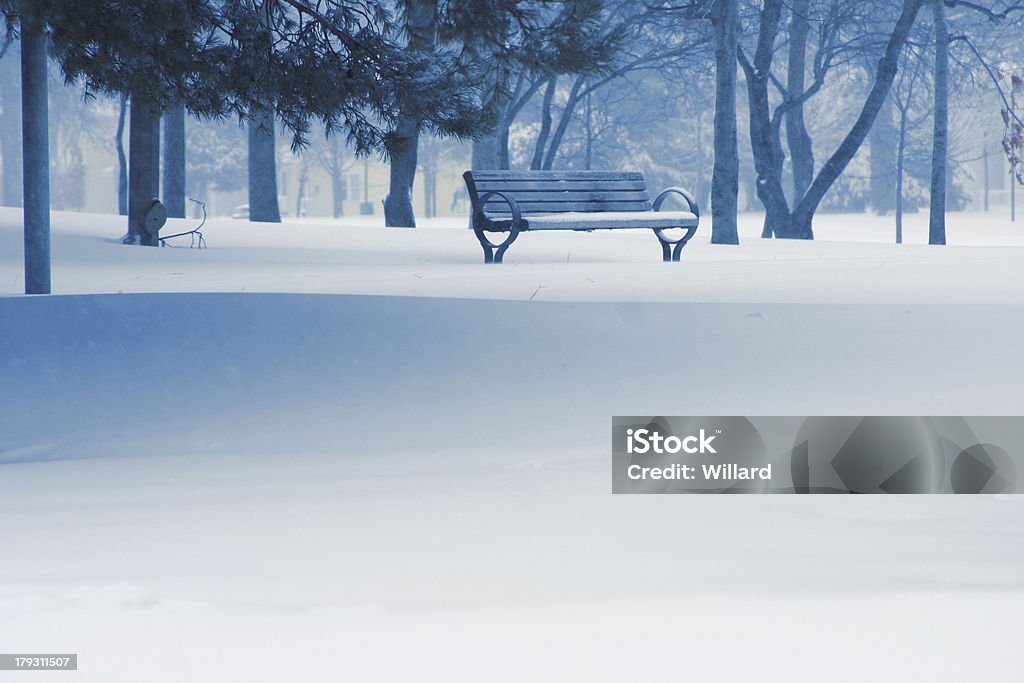 Snowy park bench and trees Lonely park bench on a snowy day Winter Stock Photo
