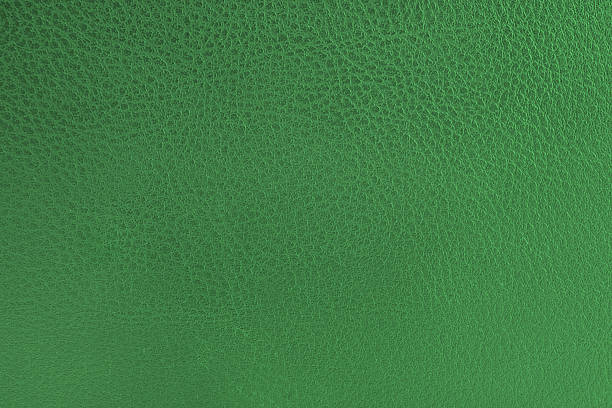 istock close-up of green leather texture 179311584