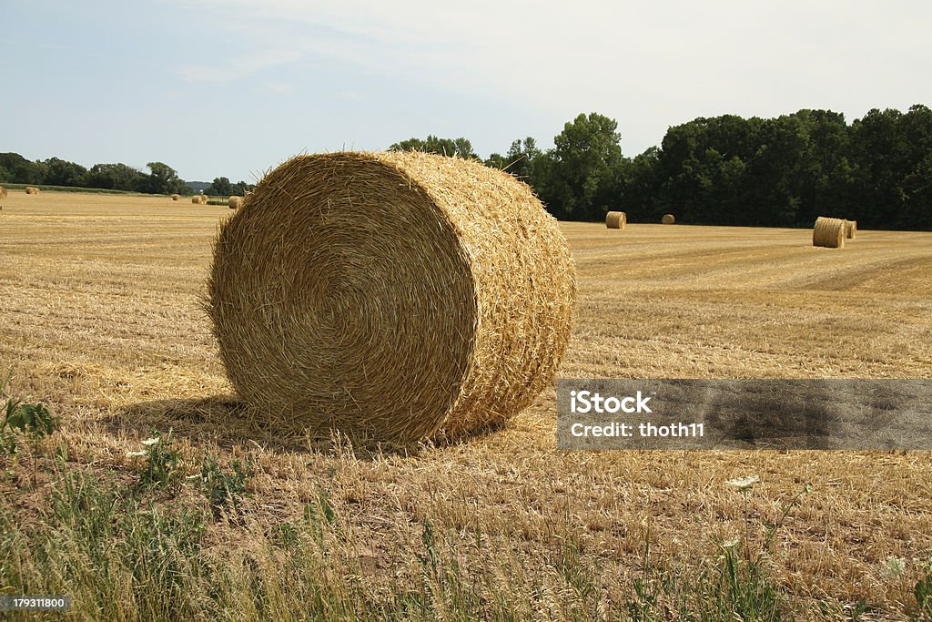 Bouteilles de Hay-on-Wye - Photo de Agriculture libre de droits