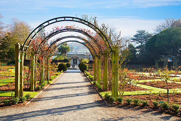 istock Christchurch Hagley Park 179312719