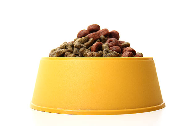 Dog bowl front view A front view of an isolated dog bowl with dog food on a white background. dog bowl photos stock pictures, royalty-free photos & images
