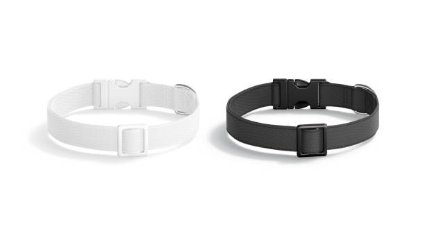 istock Blank black and white dog collar with plastic buckle mockup 1793128325