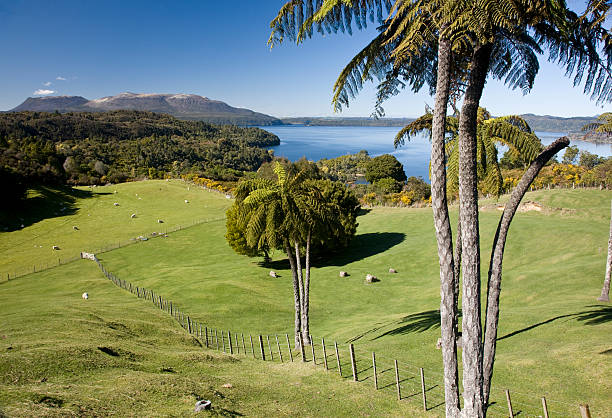 istock Lake Tarawera, New Zealand 179312842