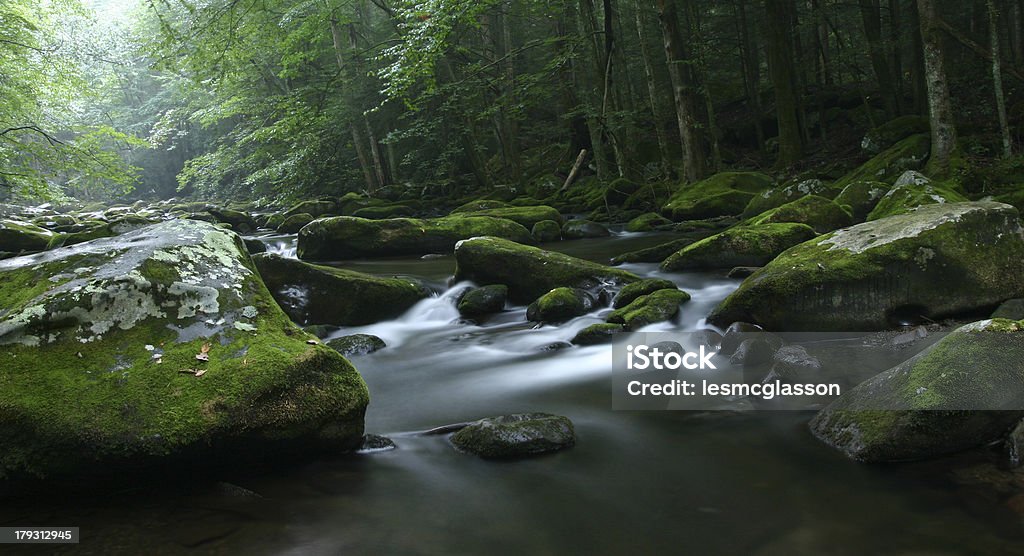 Sera a medio con doppio ardiglione - Foto stock royalty-free di Fiume Middle Prong