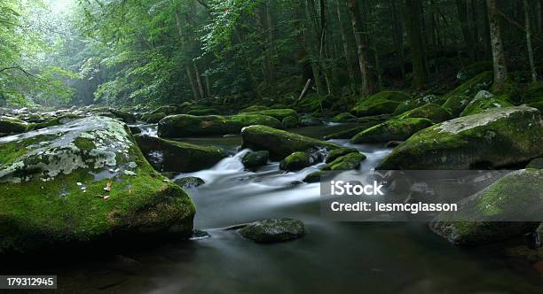 Sera A Medio Con Doppio Ardiglione - Fotografie stock e altre immagini di Fiume Middle Prong - Fiume Middle Prong, Parco Nazionale Great Smoky Mountains, Acqua fluente