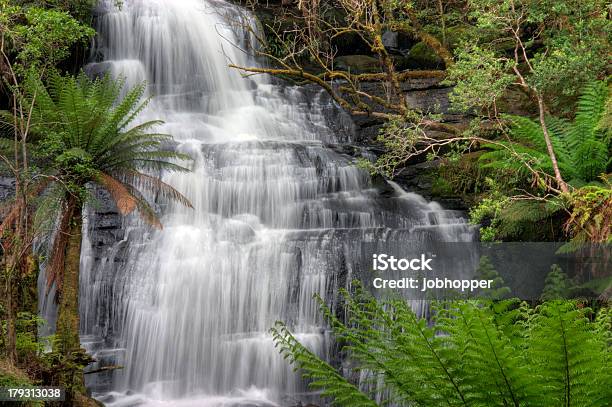 Triplet Falls Stock Photo - Download Image Now - Running, Waterfall, Australia