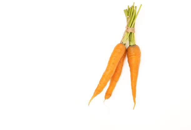 Fresh carrots with green stems tied in a bunch isolated on a white background