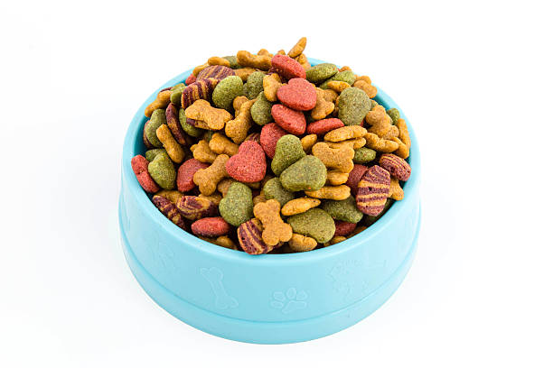 Dog food in bowl stock photo